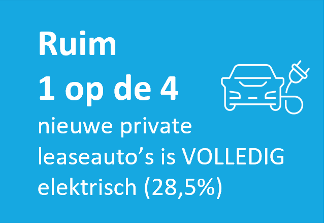 Infographic - 1 op de 4 -pl - elektrisch.png